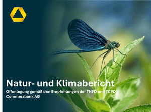 Libelle auf Pflanze