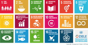 Grafik zeigt alle 17 Ziele der Sustainable Development Goals der Vereinten Nationen.