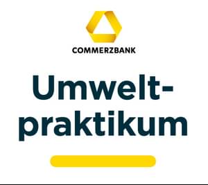 Logo of the Environmental Internship