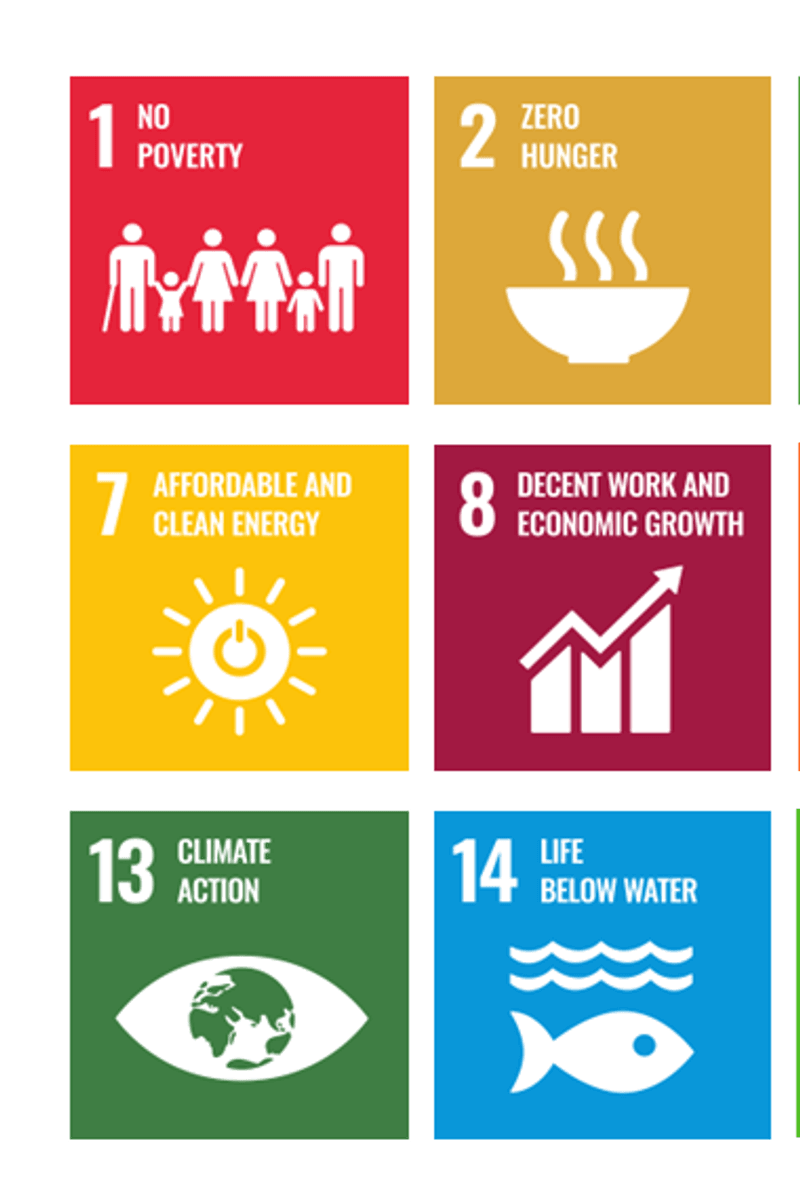 Sustainable Development Goals – Sustainability - Commerzbank